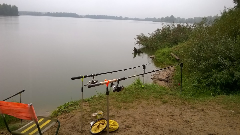 Рыбалка 🎣 в Клинском рыбхозе Владимировка. — Сообщество «Охота и ...
