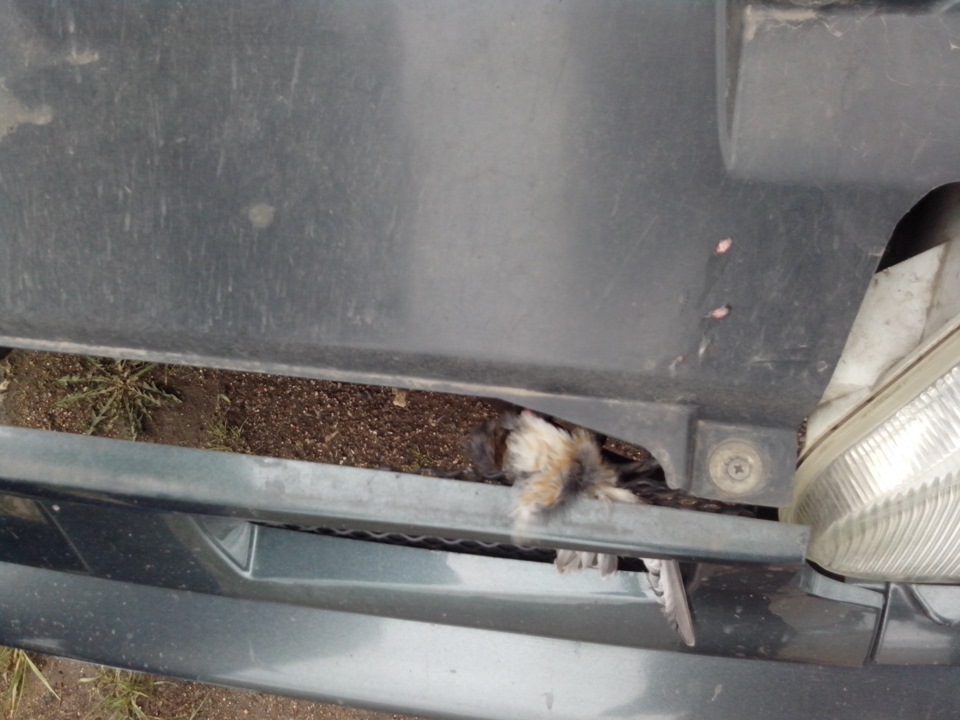 Птичку жалко, или Как Я колеса ездил балансировать — Lada 2114, 1,6 л ...