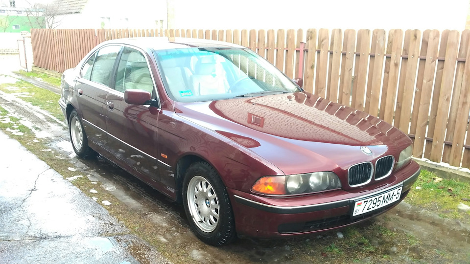 Какого цвета антифриз у бенз е39? — BMW 5 series (E39), 2 л, 1997 года ...