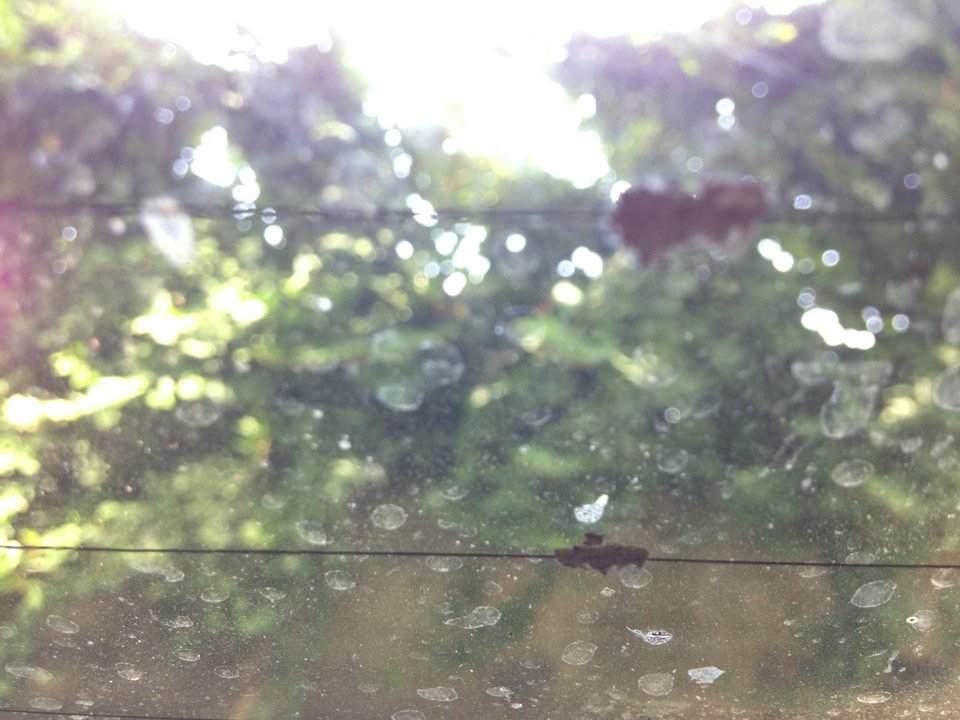 Восстановление нитей обогрева — Mercedes-Benz E-class (W124), 2 л, 1993 ...