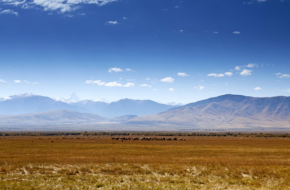 Фото в бортжурнале Infiniti QX70