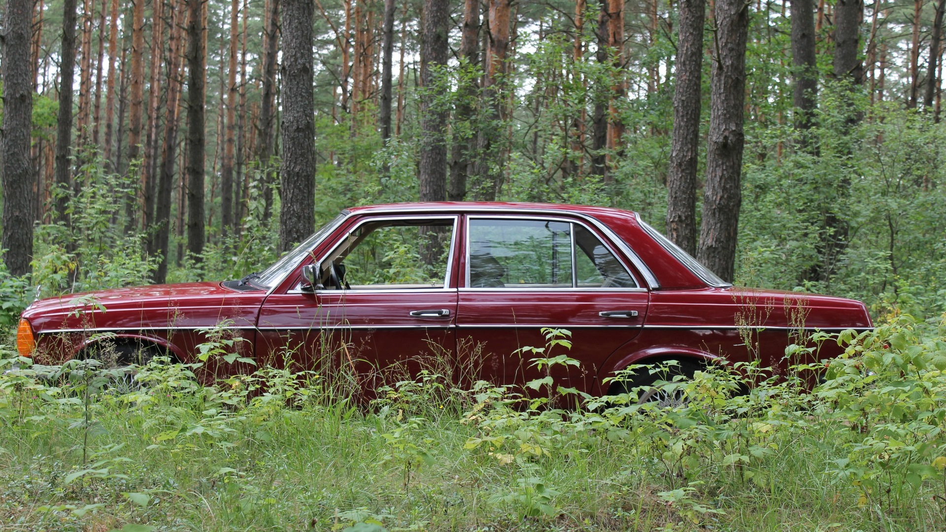 Mercedes-Benz W123 2.0 дизельный 1979 | на DRIVE2