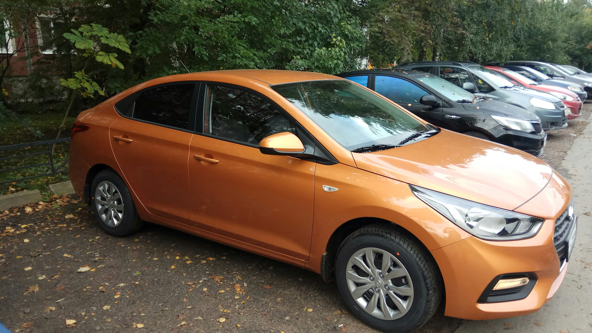 Тонировочка — Hyundai Solaris (2G), 1,6 л, 2017 года | тюнинг | DRIVE2
