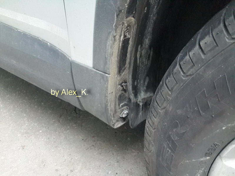 Кошки под капотом. Чем это грозит и как от них избавиться. — Volkswagen ...