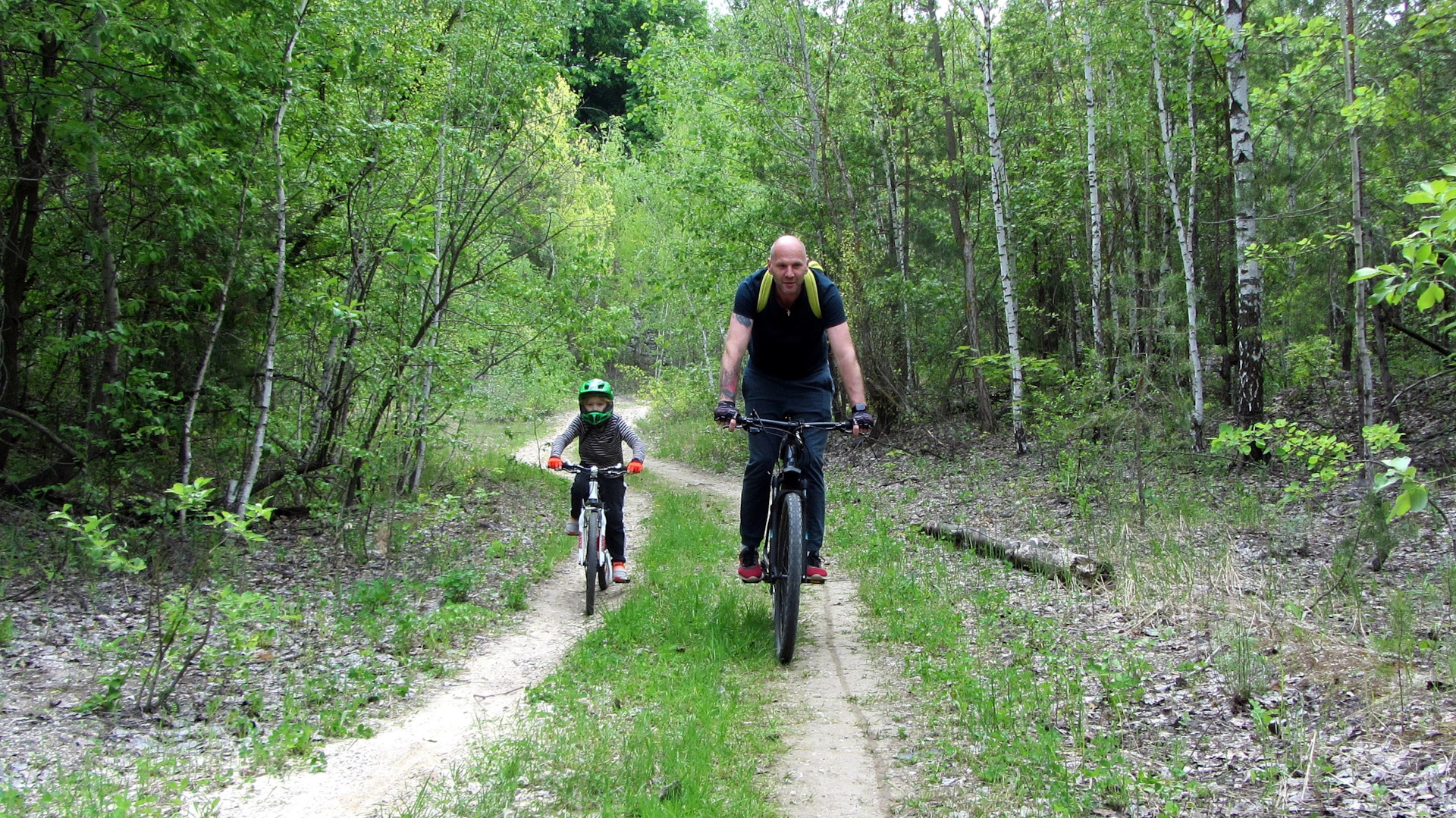 Велокрепление на фаркоп — Toyota Land Cruiser Prado 90-series, 3,4 л ...