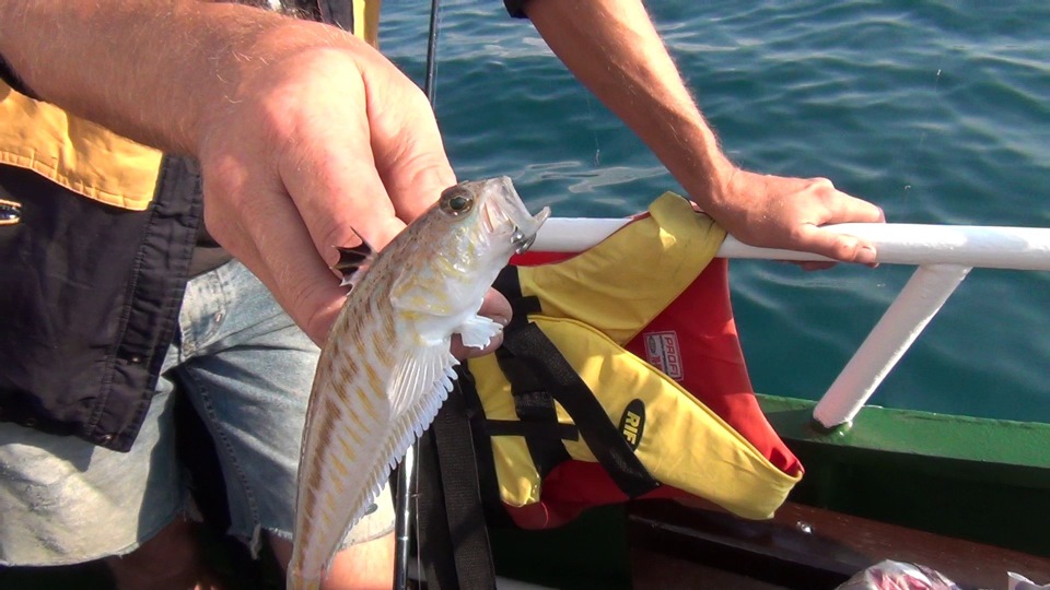 свежая рыба в дивноморском. Смотреть фото свежая рыба в дивноморском. Смотреть картинку свежая рыба в дивноморском. Картинка про свежая рыба в дивноморском. Фото свежая рыба в дивноморском свежая рыба в дивноморском. Смотреть фото свежая рыба в дивноморском. Смотреть картинку свежая рыба в дивноморском. Картинка про свежая рыба в дивноморском. Фото свежая рыба в дивноморском