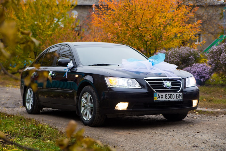 Hyundai Sonata свадьба