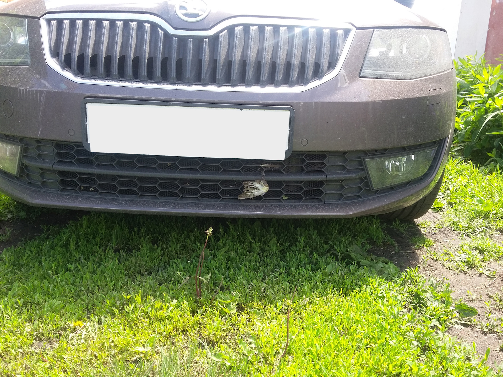 Бампер skoda octavia a7. Бампер skoda octavia a7