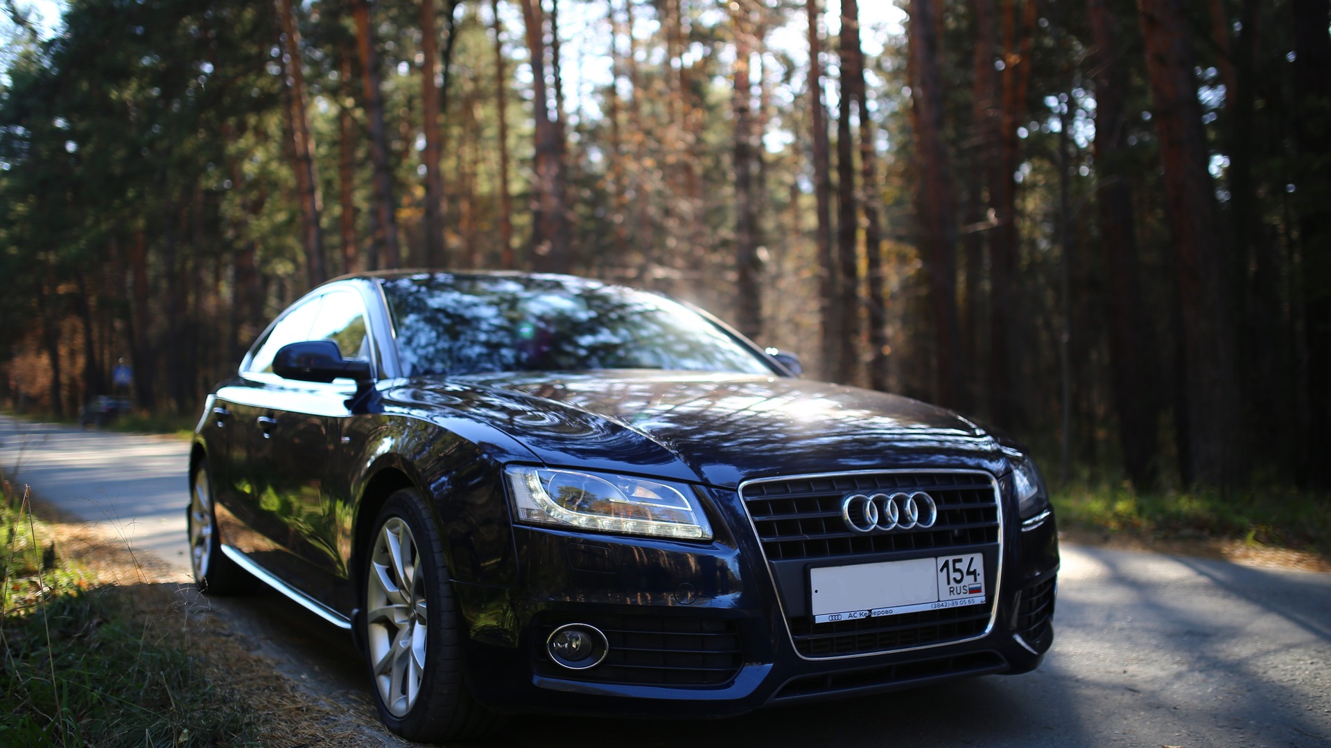 Audi новосибирск. Audi a5 2010 синяя. Audi a5 темно синий. Ауди а5 темно синяя. Audi a5 2010 темно синий.
