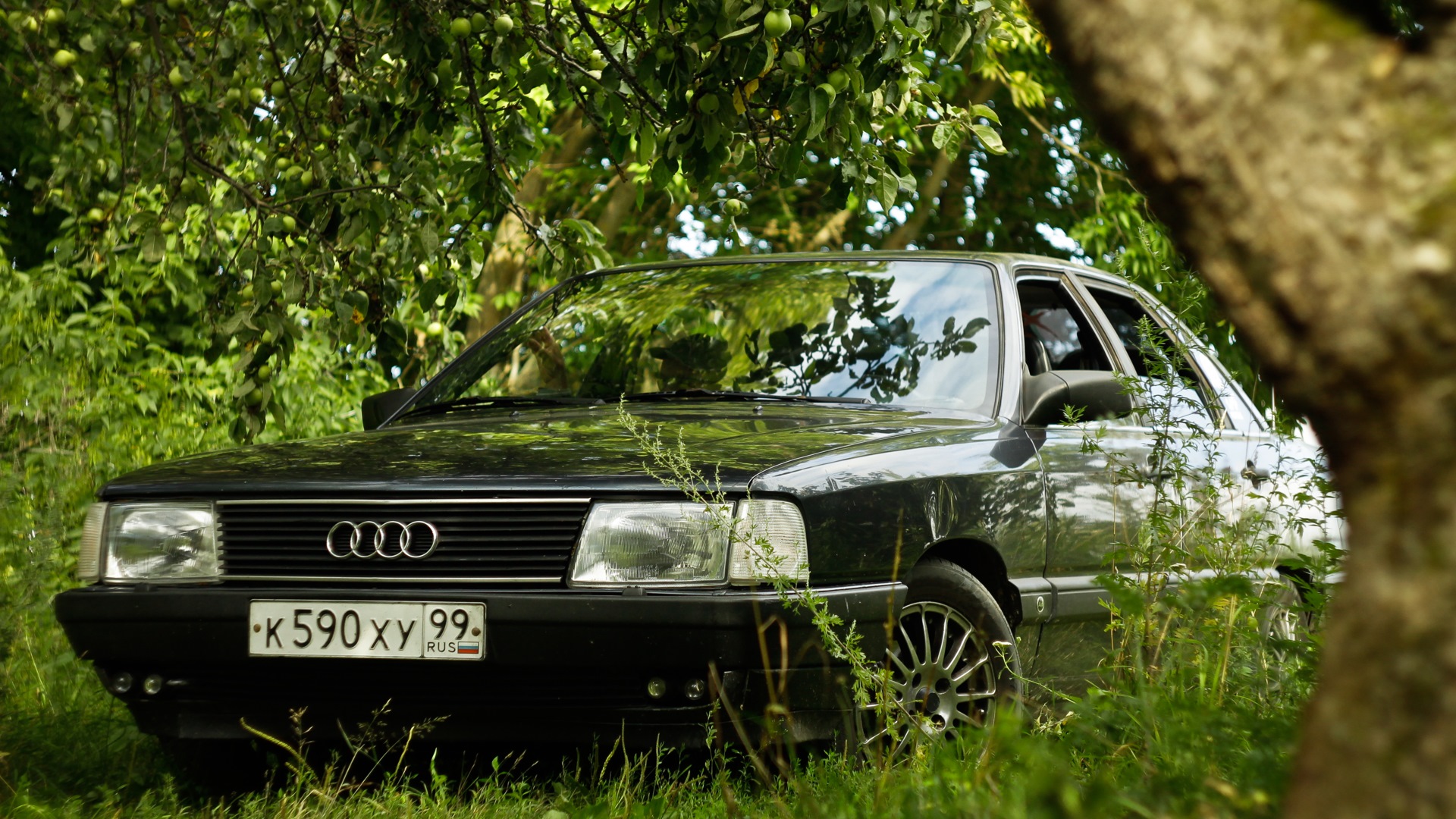 Audi 100 (C3) 1.8 бензиновый 1985 | 1.8 DS Pierburg 2e2 на DRIVE2