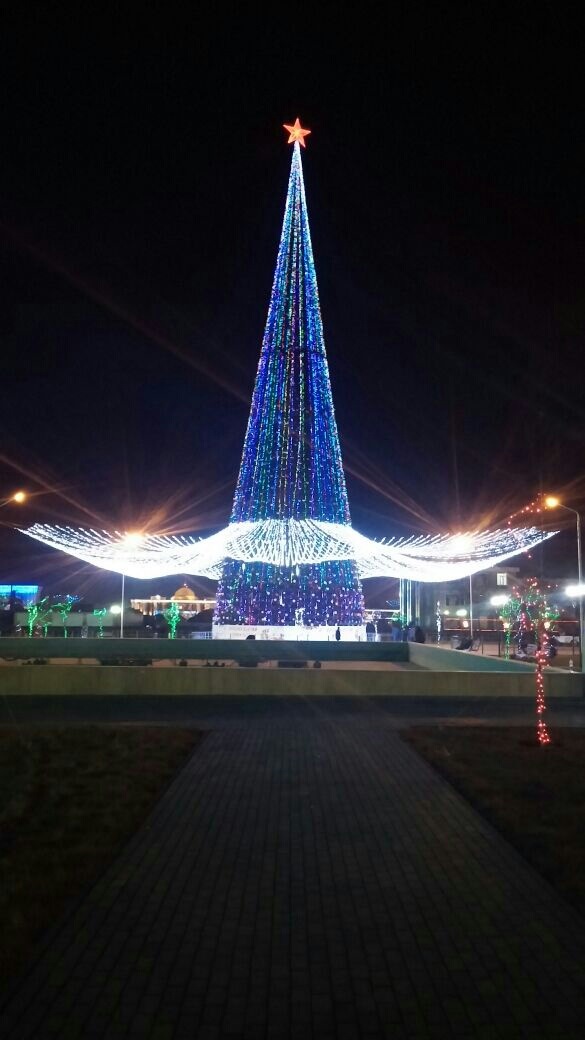 новогодний рио де жанейро. самая большая искусственная елка в мире высота. где находится самая высокая елка. высокая елка. самая большая ель в мире.