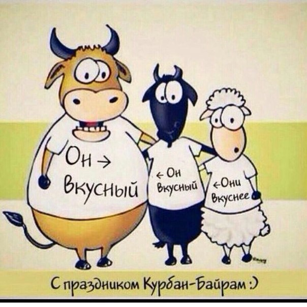 Открытку, прикольные картинки к празднику курбан байрам