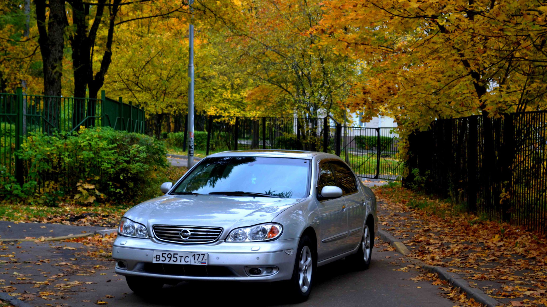 Nissan Maxima QX (A33) 2.0 бензиновый 2001 | Mafia на DRIVE2