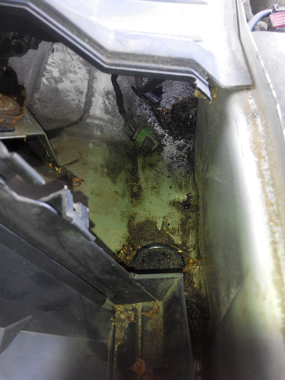 Обратный клапан омывайки — Opel Vectra B, 1,8 л, 1996 года | своими ...