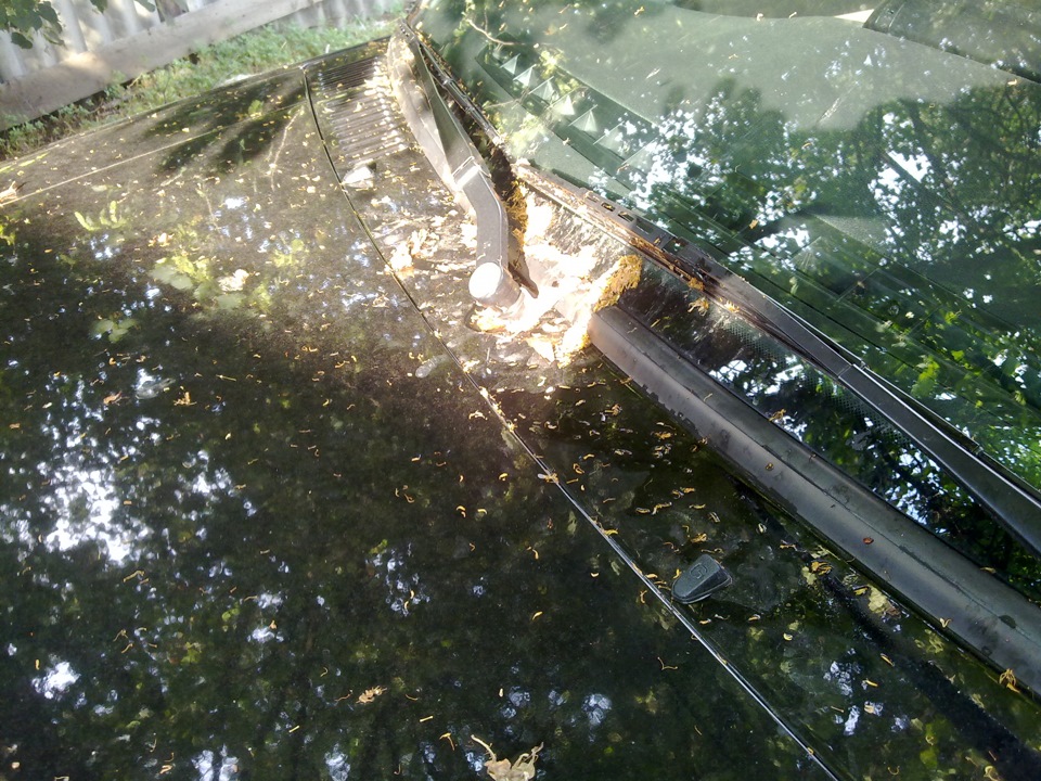 Новые омыватели лобового стекла. — УАЗ Pickup, 2,7 л, 2012 года ...