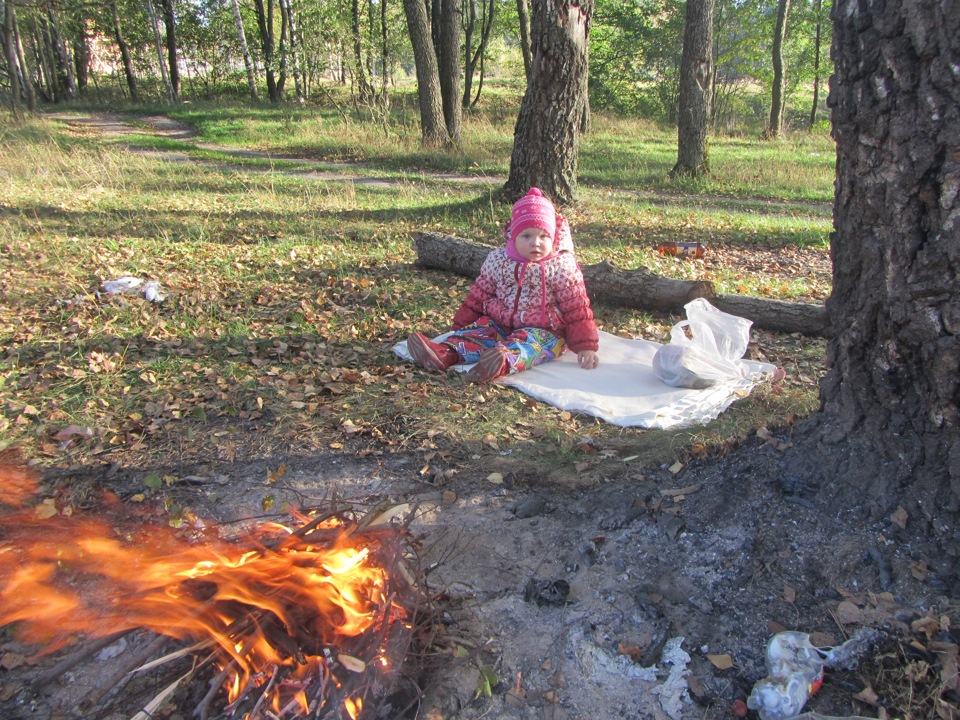 Крайняя прогулка в лесочке осень 2015 — DRIVE2