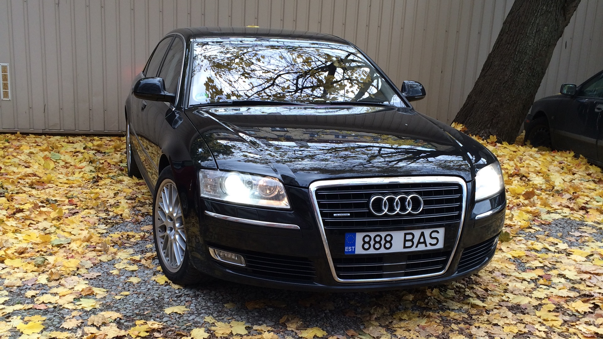 Audi A8 (D3) 4.2 дизельный 2009 | Раз-раз-раз это хард БАС на DRIVE2