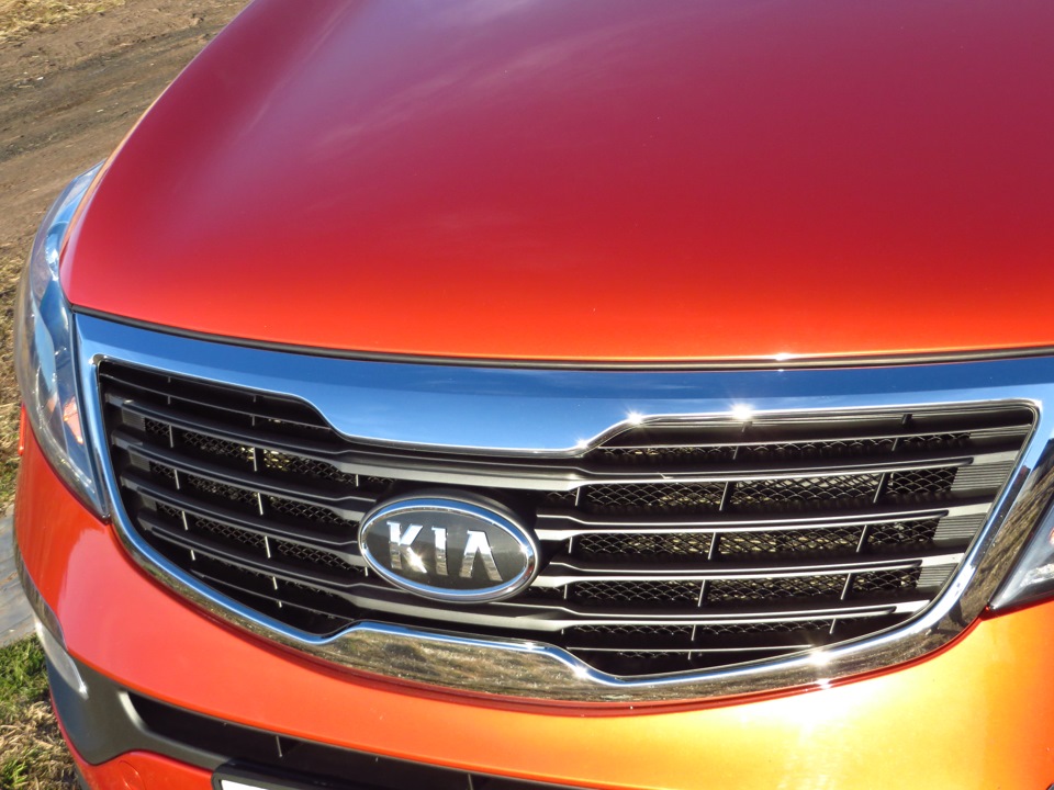 Сетка на радиаторную решетку — KIA Sportage (3G), 2 л, 2012 года ...