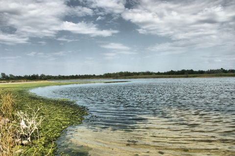 Фото в бортжурнале Mitsubishi L200 (4G)