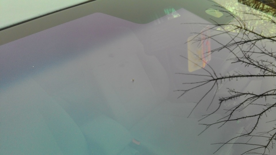 Заделка скола на лобовом стекла — Opel Signum, 2,2 л, 2004 года | визит ...