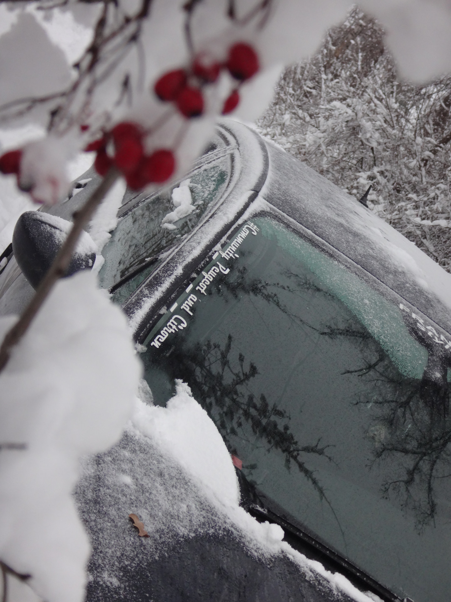 Липецк ! плановая клубная встреча 27,12,2017 ! — Сообщество «Community ...