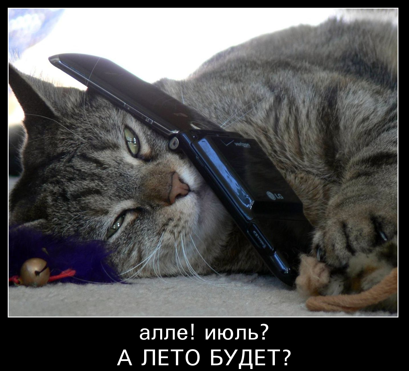 Картинки июль прикольные