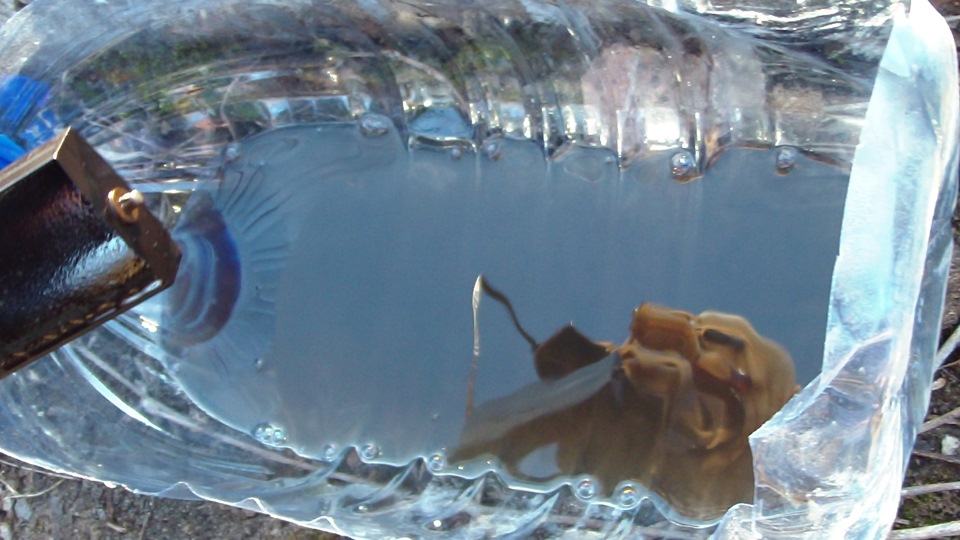 Сеточка бензонасоса — Lada Калина седан, 1,5 л, 2006 года | расходники ...