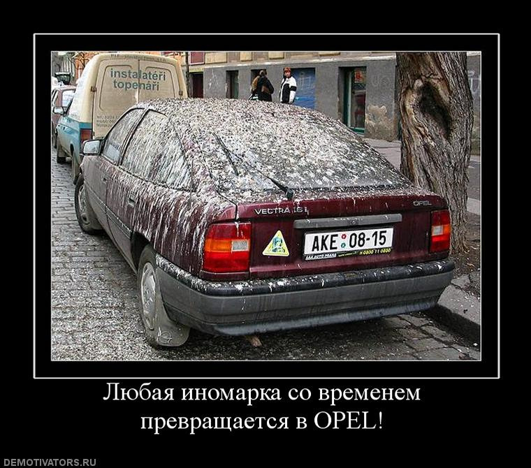 Поздравление днем, опель картинки приколы