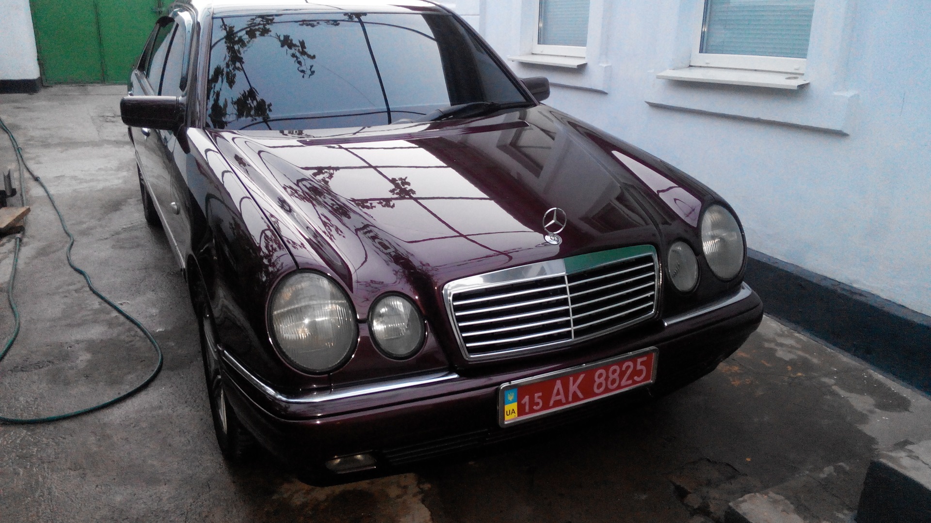 Mercedes-Benz E-class (W210) 2.0 бензиновый 1998 | Гнилая вишня 2.0I на  DRIVE2