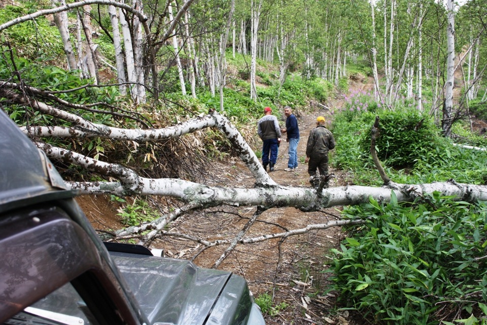 Фото в бортжурнале Nissan Safari (Y60)