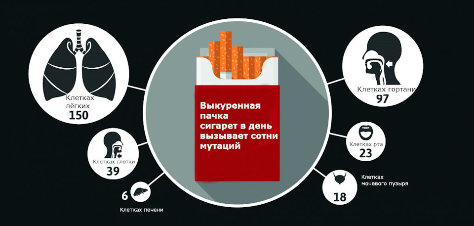 Одна раковая мутация на каждые 50 сигарет: курение серьёзно повреждает ...