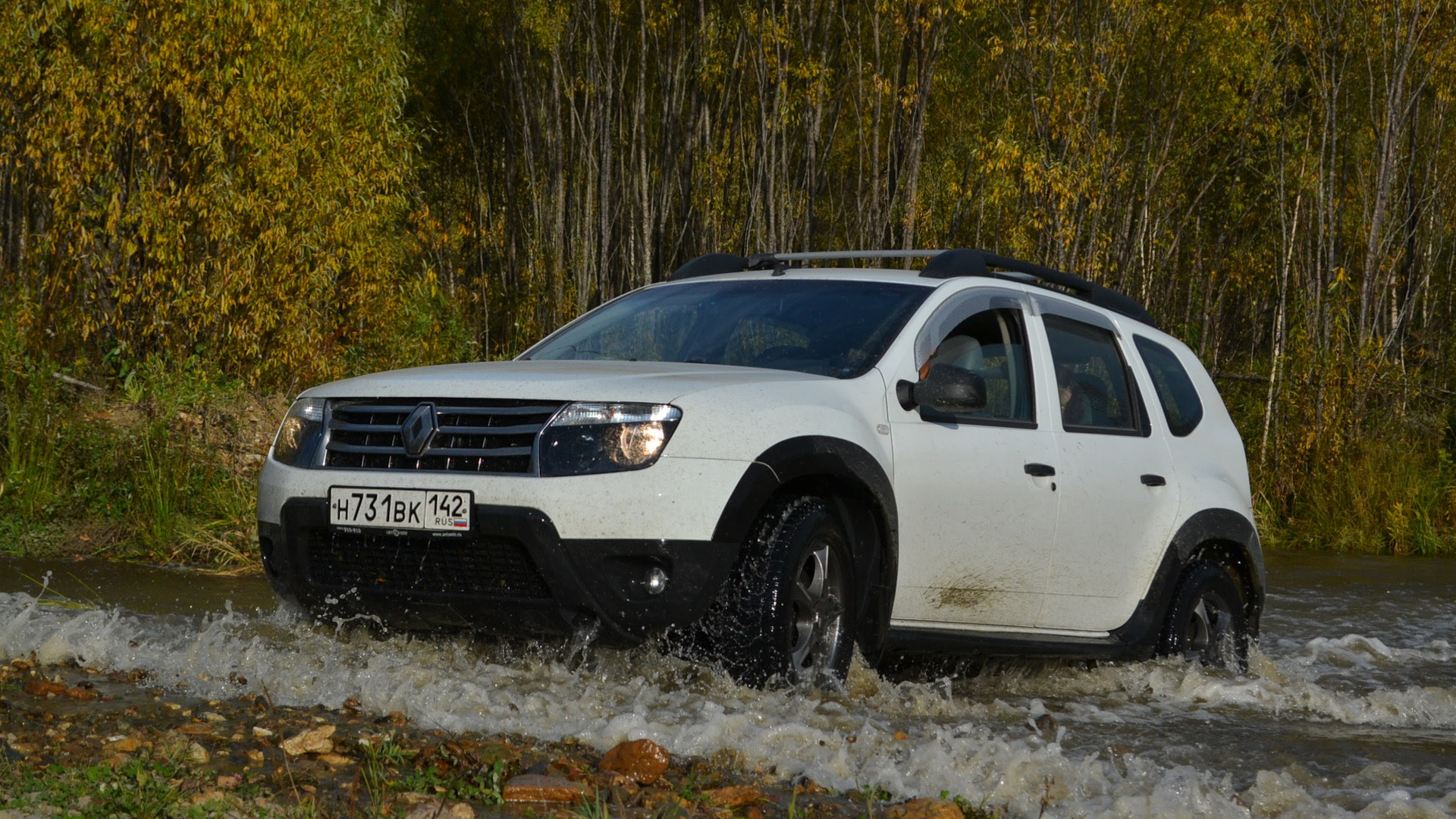 Renault Duster (1G) 2.0 бензиновый 2015 | Expression 2.0 4WD АТ на DRIVE2