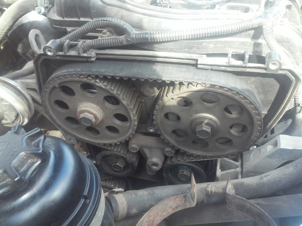 Замена ремня ГРМ — Lada 21124, 1,6 л, 2007 года | своими руками | DRIVE2