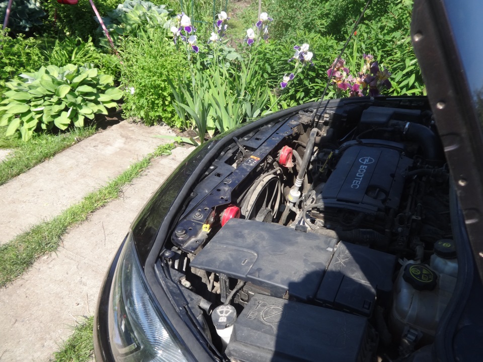 Фото в бортжурнале Opel Astra J