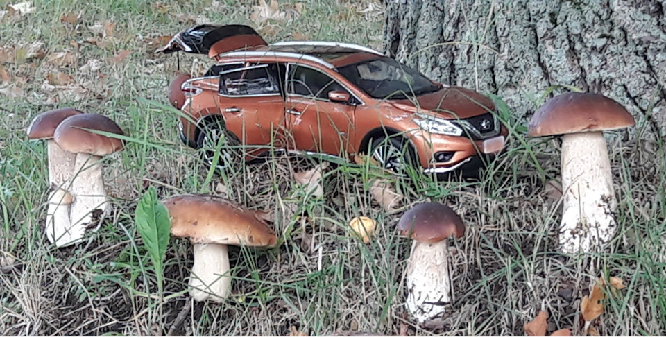 Рыжий мурано на Красном Бакене — Nissan Murano II, 3,5 л, 2015 года ...