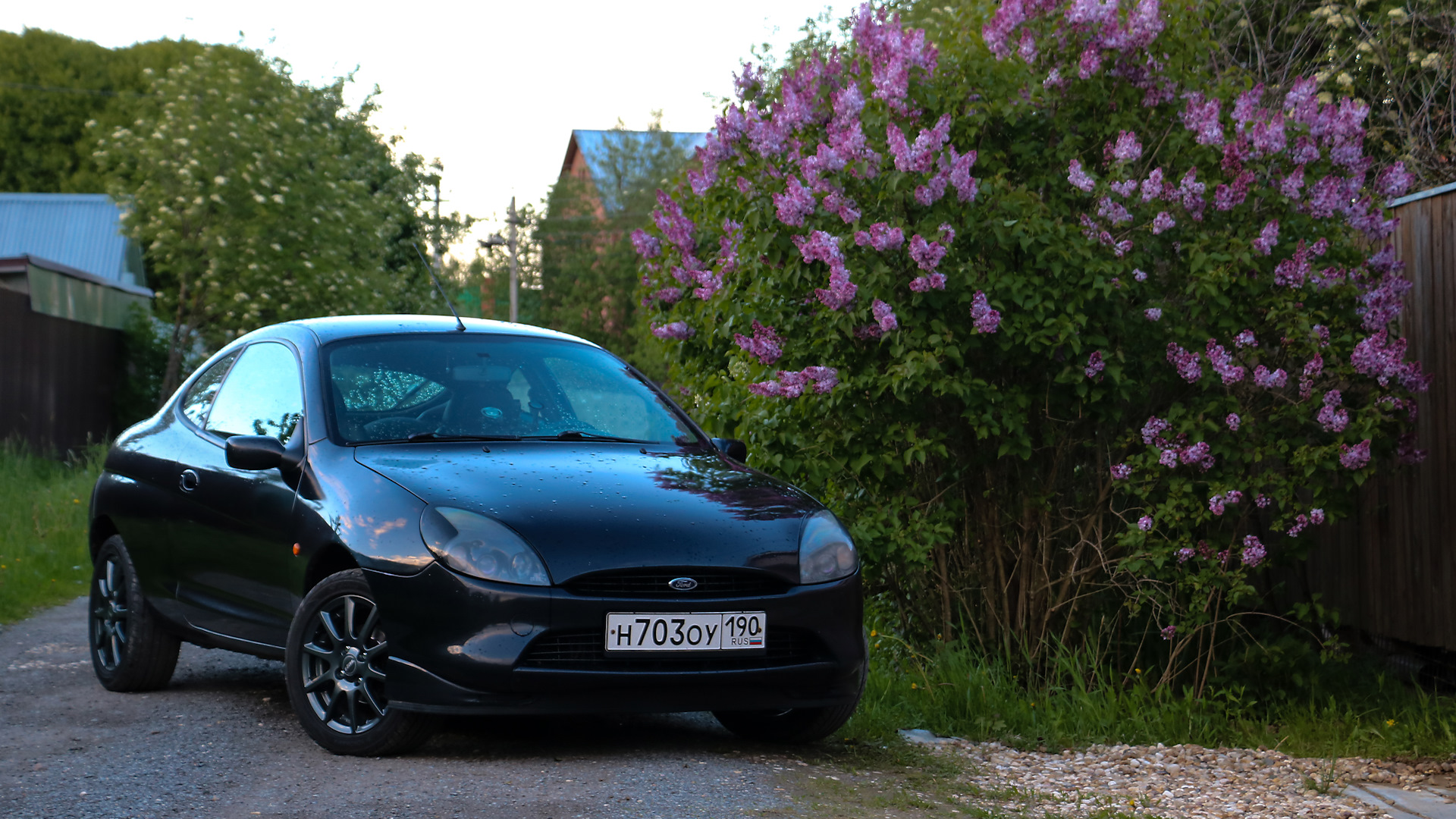 Ford Puma 1.7 бензиновый 1999 | 