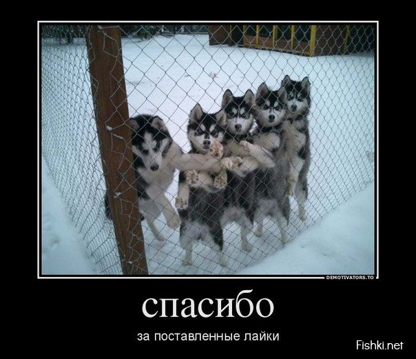 от души! — Daewoo Matiz (M100/M150)