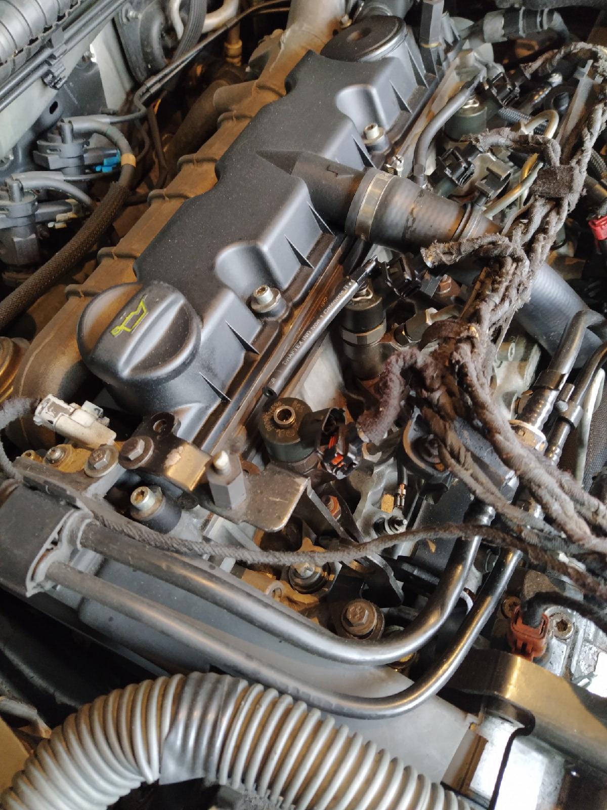 Проводка моторного отсека, ЭБУ и ЧИП — Peugeot 406, 2 л, 1999 года ...