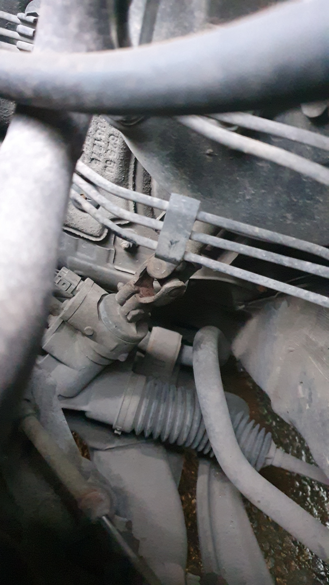 Люфт рулевого колеса z18xer. Opel Vectra C 2006. — Opel Vectra C, 1,8 л ...