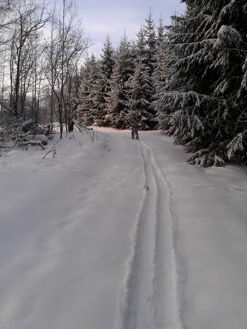 62cfe5es 960 Лыжи для охоты как выбрать