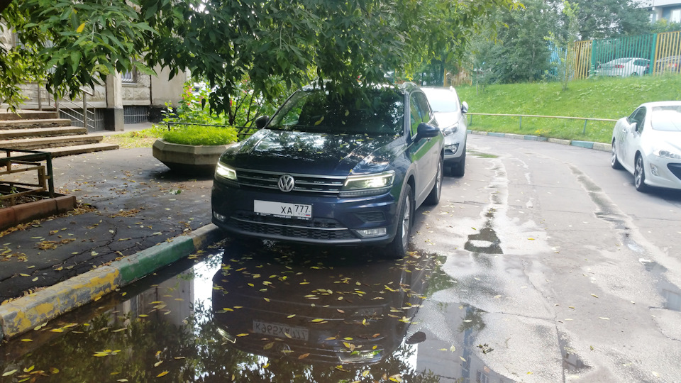 Тигуан на море что это. Тигуан на море что это фото. картинка Тигуан на море что это. смотреть фото Тигуан на море что это. смотреть картинку Тигуан на море что это.