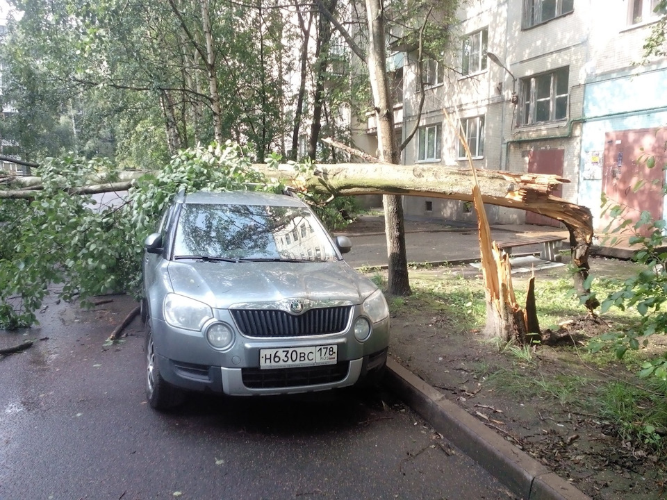 Упало дерево во дворе… — Lada Приора седан, 1,6 л, 2010 года | другое ...