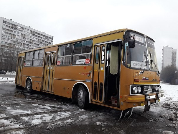 Икарус в Новопеределкино — Сообщество «Грузовики и Автобусы» на DRIVE2