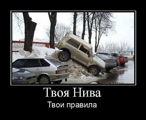 Открытки днем, картинки смешная нива