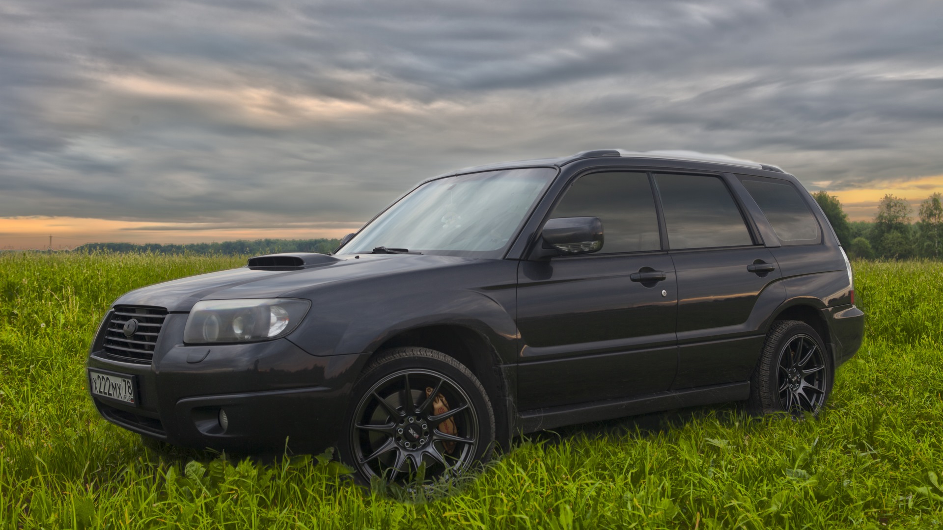 Forester 2