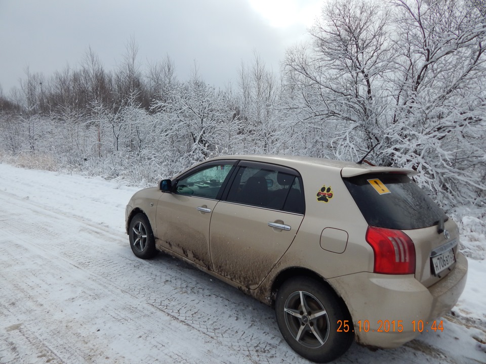 Мухенская 1. Тойота Аллекс 2002. Тойота Алекс 2002 года. Тонированная Toyota Allex. Тойота Аллекс серый.