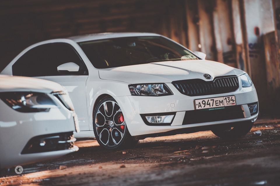Фото в бортжурнале Skoda Octavia A7 Mk3