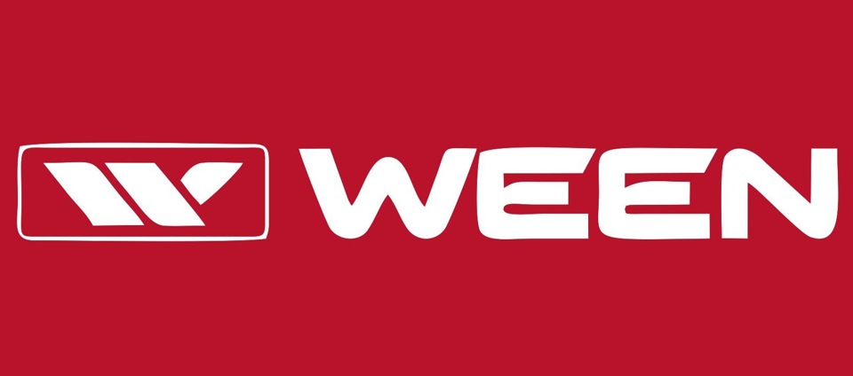 Веен. WEEN логотип. WEEN автозапчасти. Свечи WEEN логотип. WEEN автозапчасти logo.