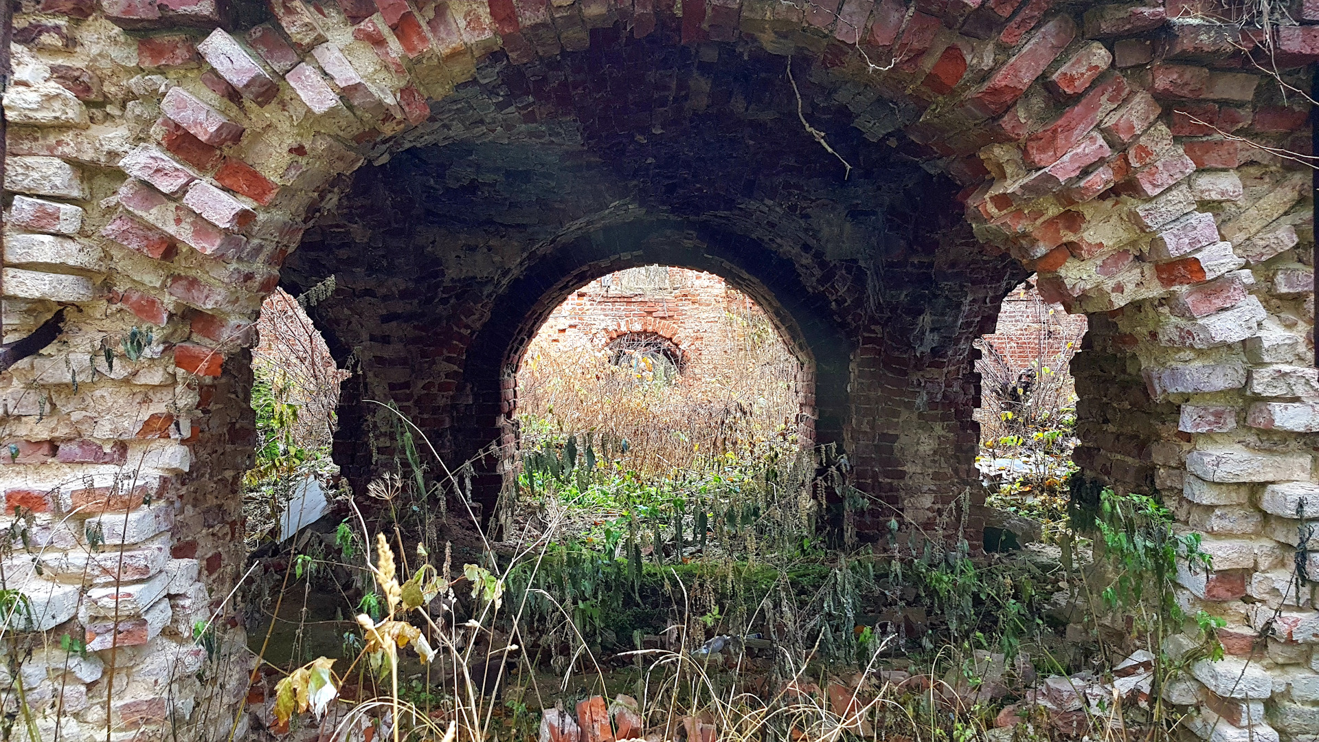 усадьба ольгово дмитровский район. усадьба ольгово дмитровский район. теперь деревня льгово а прежде древний город. николаевская колокольня в калязине. рязанский ольгов монастырь.