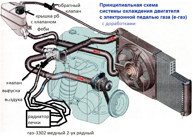Схема сод калина 1
